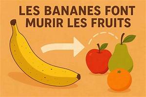 Pourquoi Les Pommes Font Murir Les Fruits?