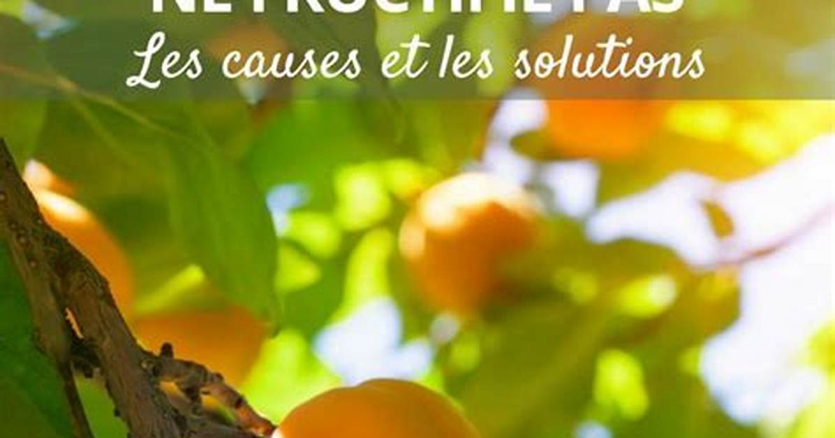 Pourquoi Mon Abricotier Ne Donne Pas De Fruits?