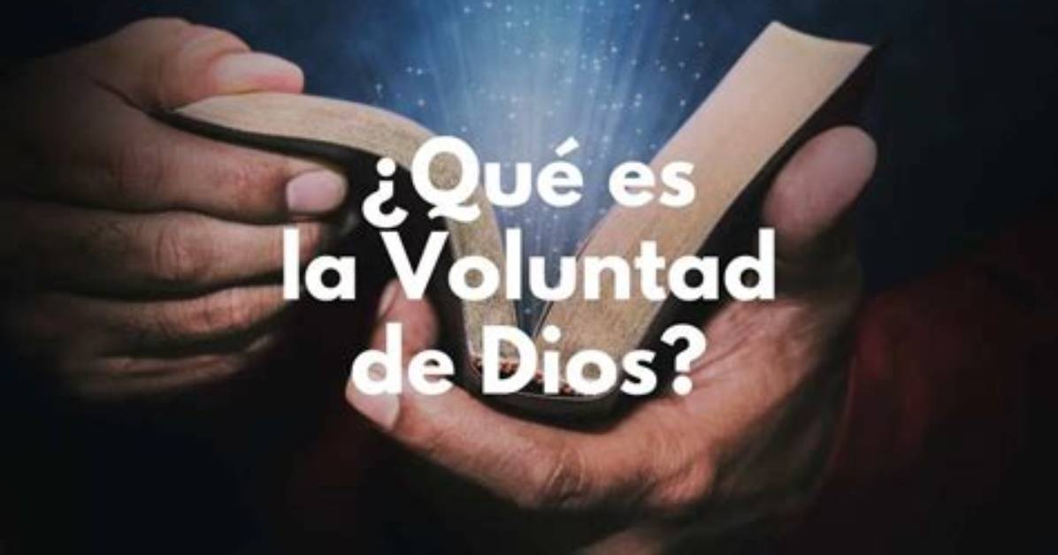Qu%C3%A9 Es La Voluntad De Dios 400. Jpg