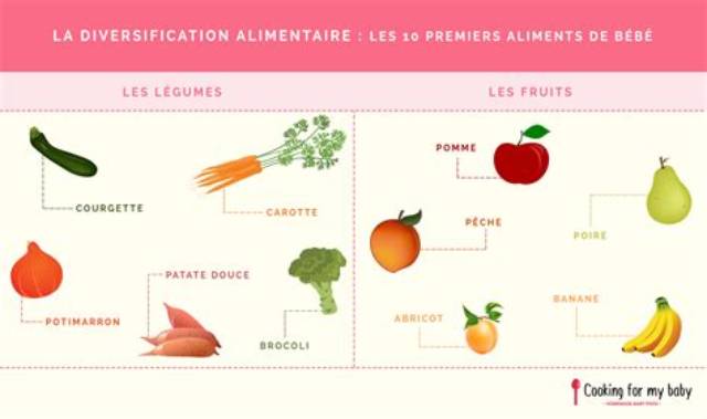 Quand Commencer Les Fruits Bebe?