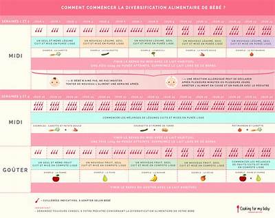 Quand Donner Des Fruits a Bebe?