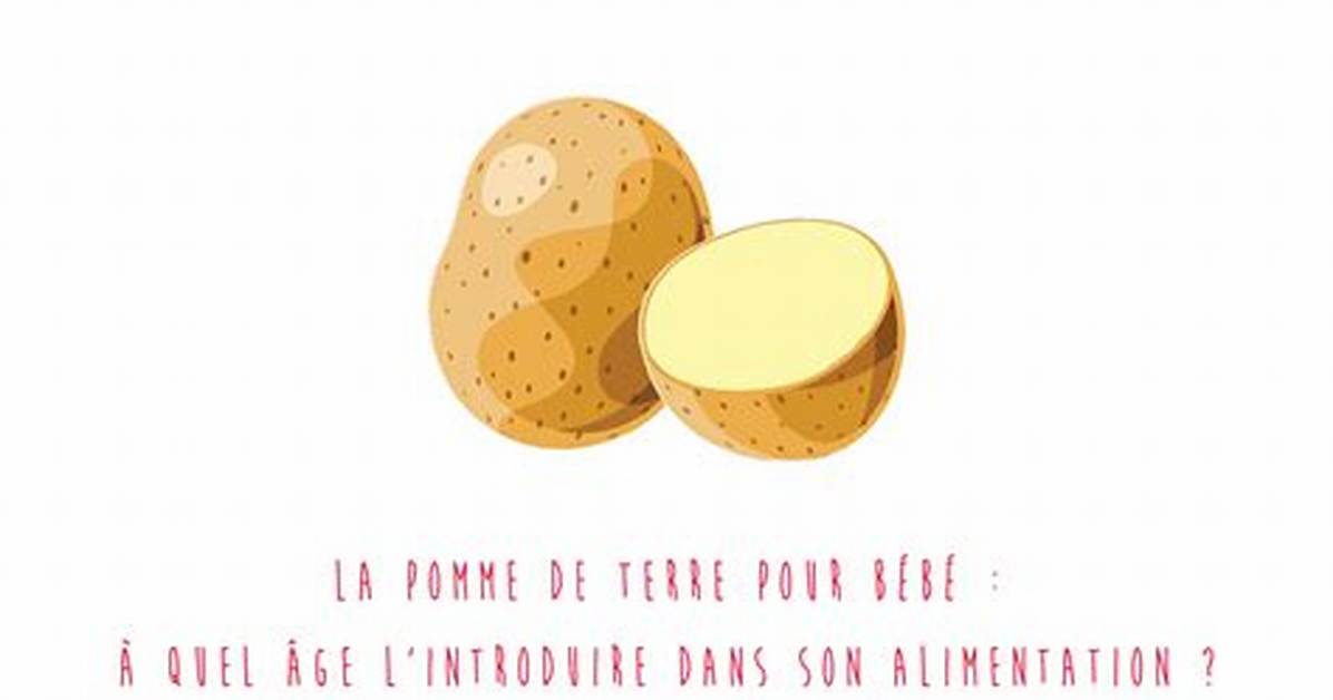 Quand Introduire Pomme De Terre Pour Bebe?