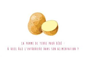 Quand Introduire Pomme De Terre Pour Bebe?