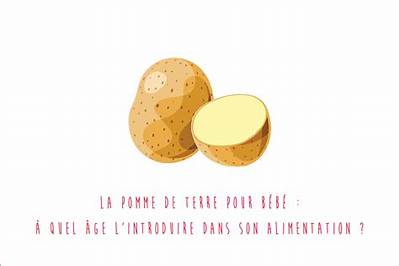 Quand Introduire Pomme De Terre Pour Bebe?