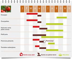 Quand Planter Les Fruits Et Legumes?