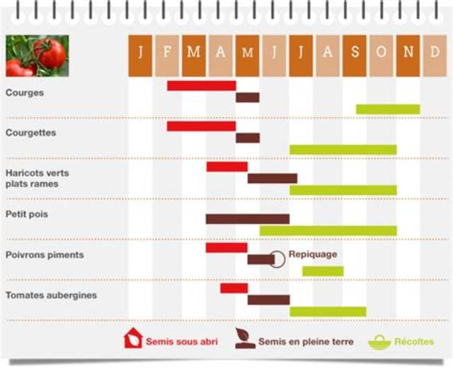 Quand Planter Les Fruits Et Legumes?