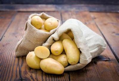 Quand Recolter Pomme De Terre Charlotte?
