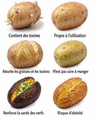 Quand Une Pomme De Terre N’est Plus Bonne?