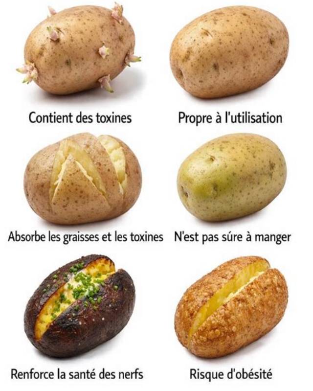 Quand Une Pomme De Terre N’est Plus Bonne?