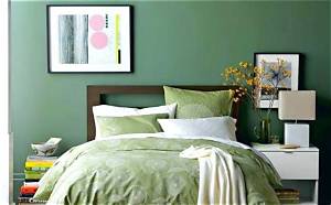 Quelle Couleur Avec Vert Pomme?