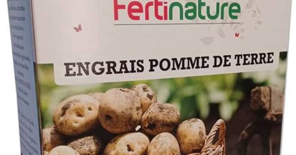 Quelle Engrais Pour Pomme De Terre?