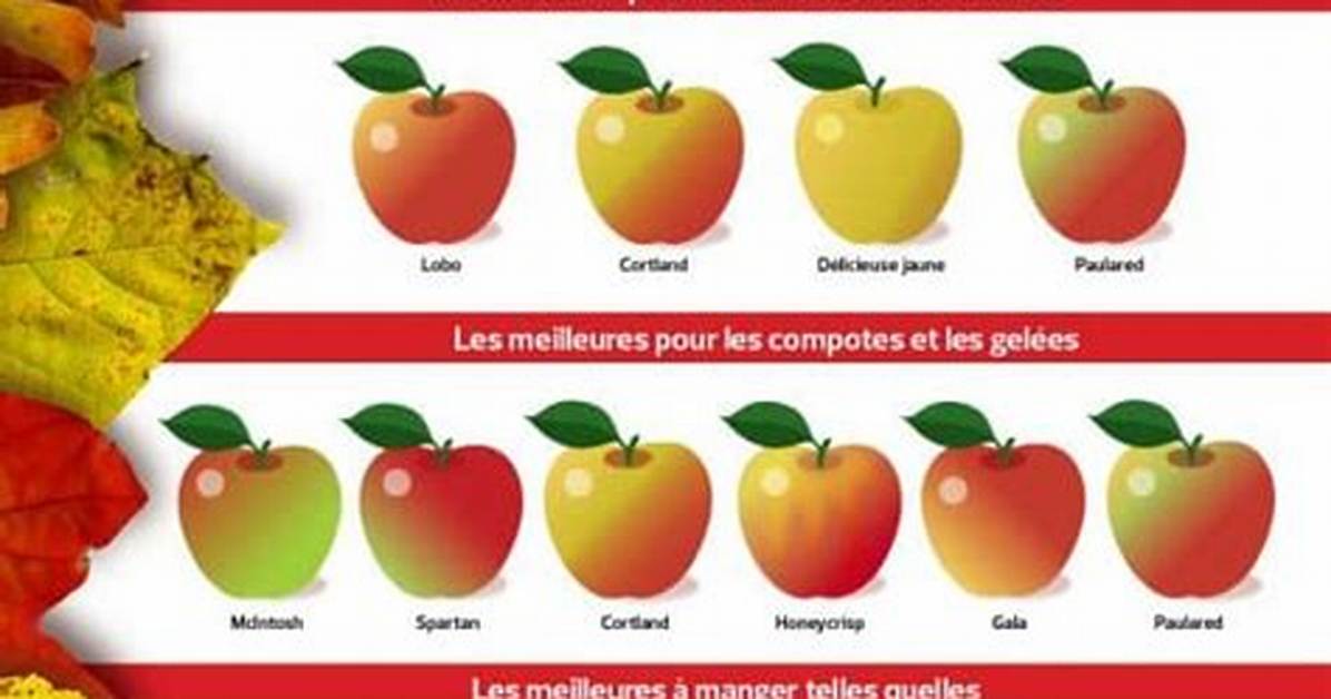 Quelle Est La Meilleure Pomme Pour La Santé?