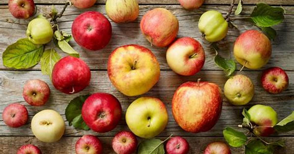 Quelle Pomme a Cuire?