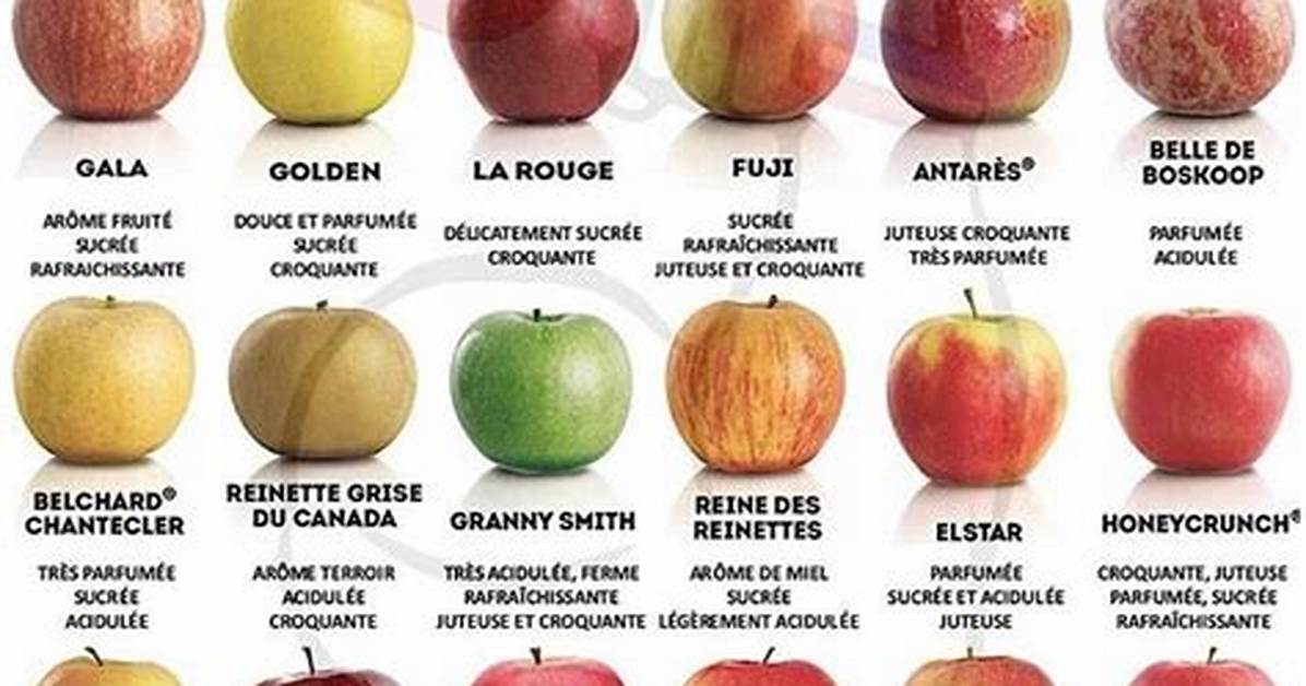 Quelle Pomme Choisir Pour Maigrir?
