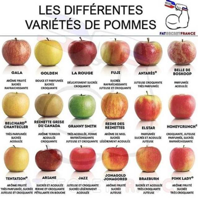 Quelle Pomme Choisir Pour Maigrir?
