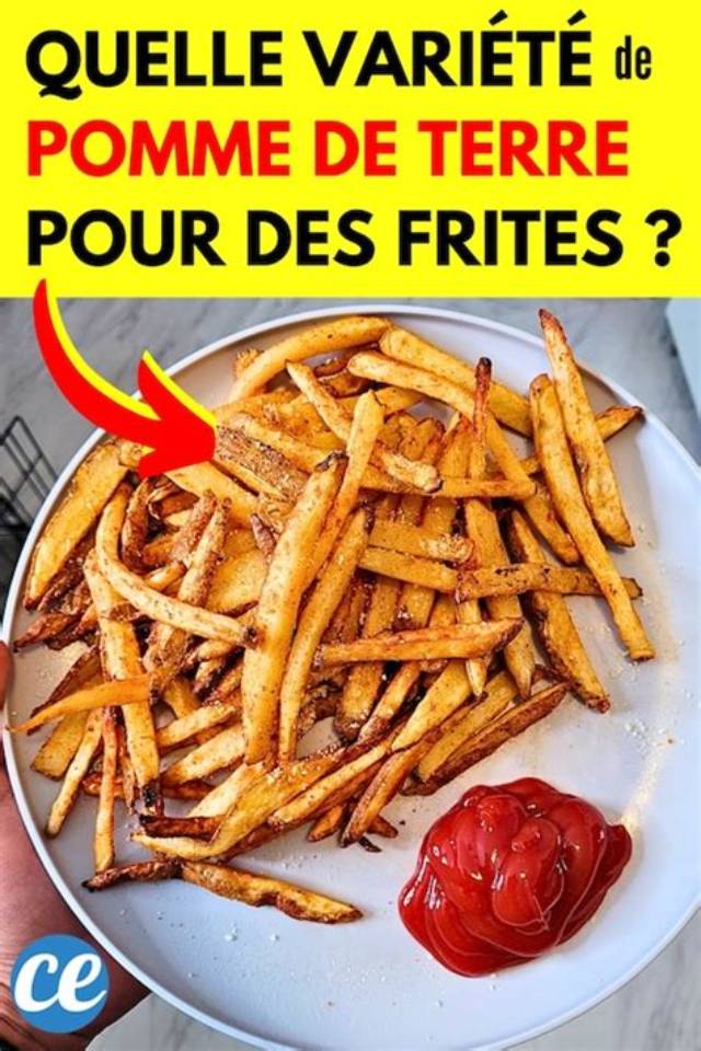 Quelle Pomme De Terre Pour Faire De La Purée?