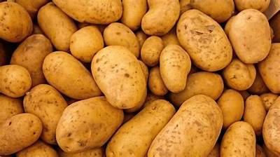 Quelle Pomme De Terre Pour Robe Des Champs?