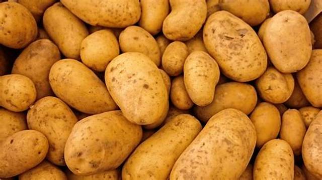 Quelle Pomme De Terre Pour Robe Des Champs?