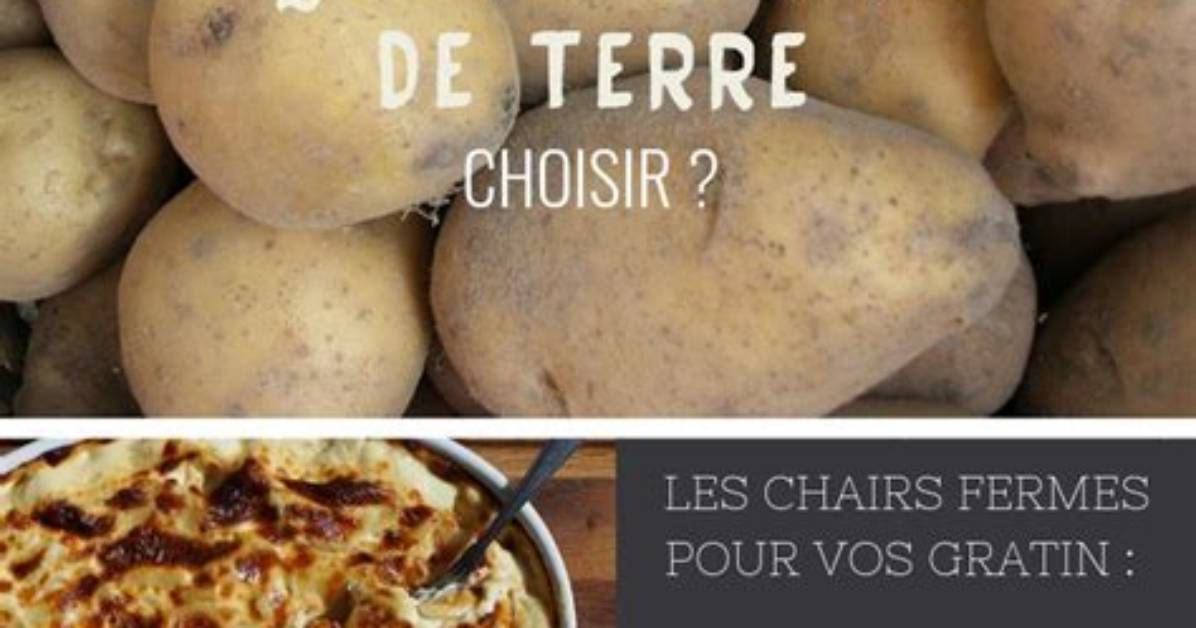 Quelle Pomme De Terre Pur%C3%A9E 300. Jpg