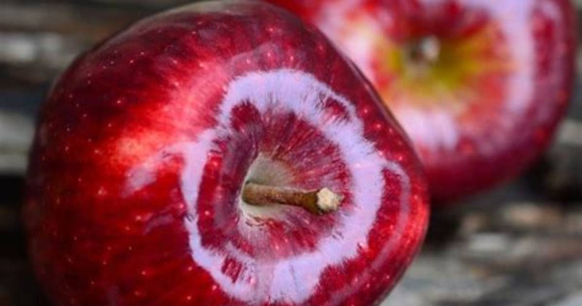 Quelle Pomme Est La Moins Sucr%C3%A9E 1200. Jpg