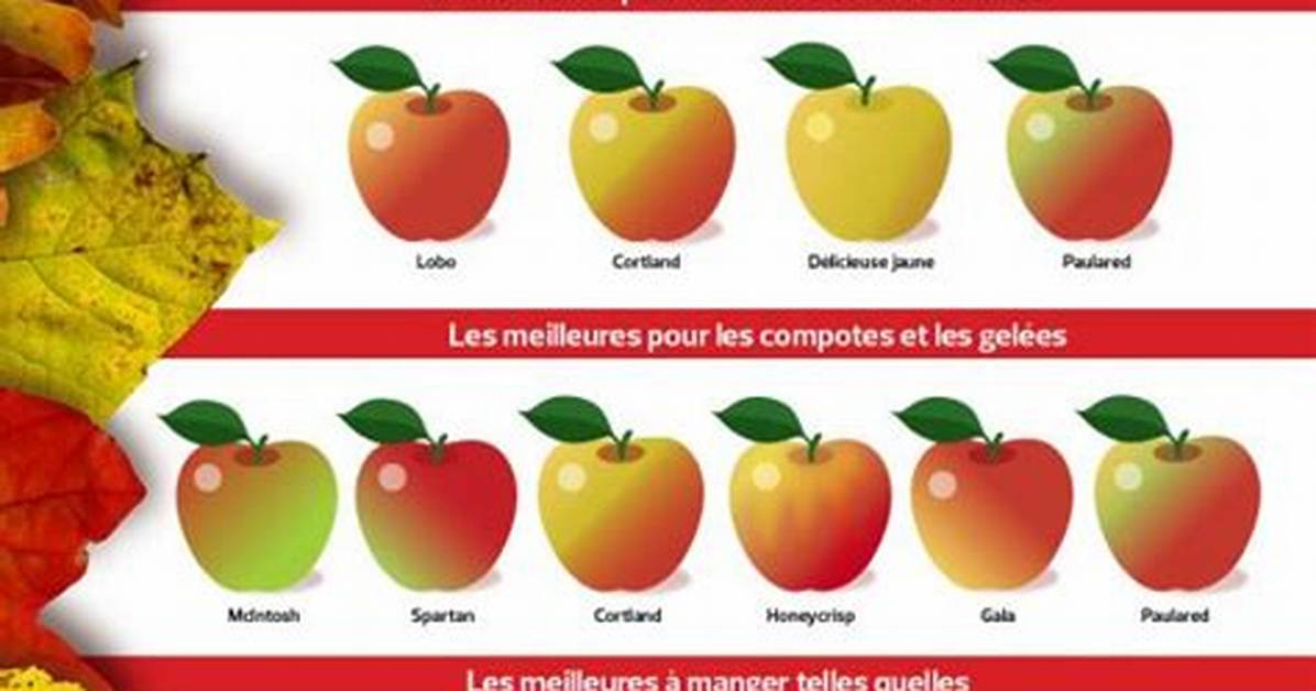 Quelle Pomme Est La Plus Sucr%C3%A9E 300. Jpg