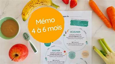 Quelle Pomme Pour Bebe 4 Mois?