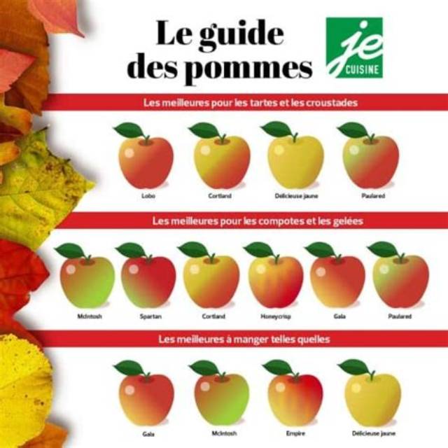 Quelle Pomme Pour Faire Du Cidre?