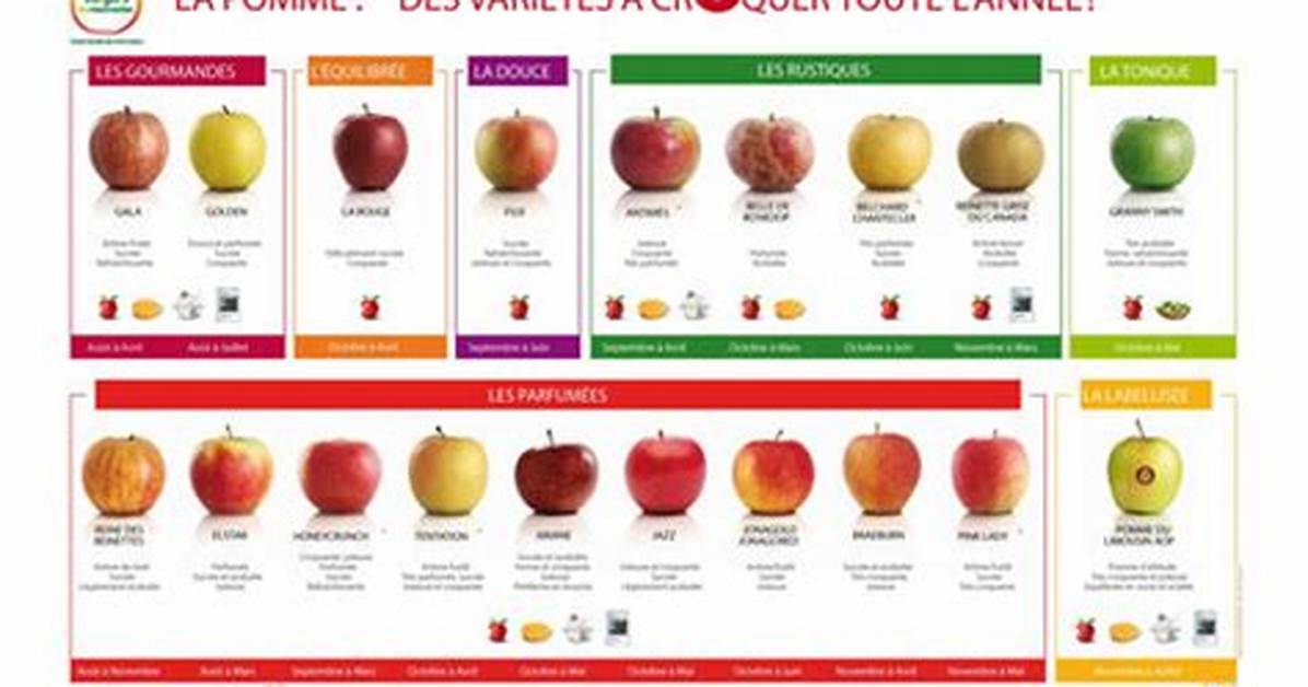 Quelle Pomme Pour Quel Usage?