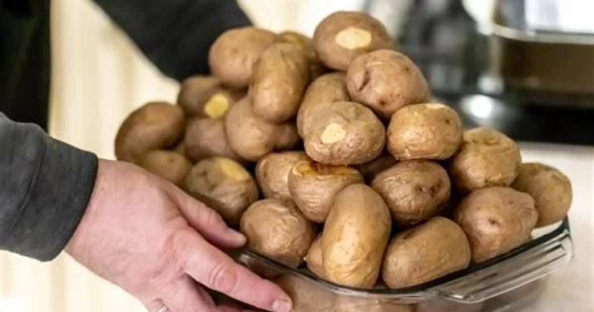 Quelle Quantite De Pomme De Terre Pour Puree?