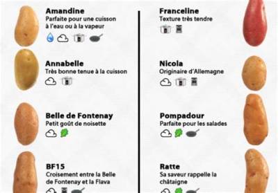 Quelle Sorte De Pomme De Terre Pour Raclette?