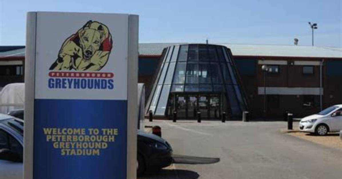 Race Some Noise at Peterborough Greyhound Stadium