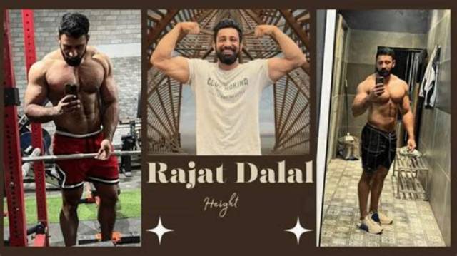 Rajat Dahiya Height, Weight, Net Worth, Age, Birthday, Wikipedia, Who, Nationality, Biography