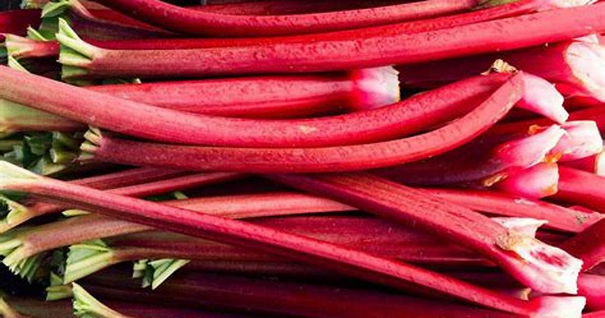 Rhubarbe Fruits Ou L%C3%A9Gumes 640. Jpg