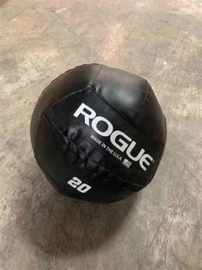 Rogue Medicine Balls| Garage Gym Reviews