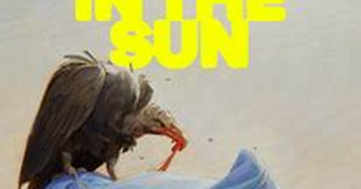 Rotting in the Sun | Rotten Tomatoes