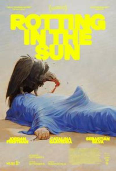 Rotting in the Sun | Rotten Tomatoes