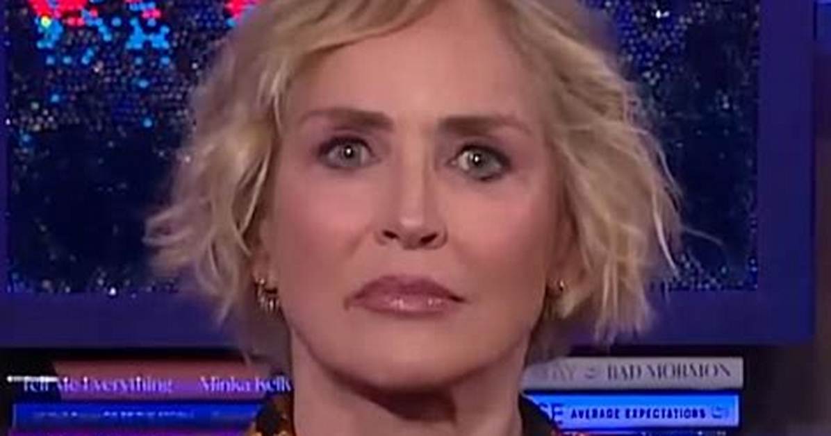 Sharon Stone Once Revealed She Was Told Arnold Schwarzenegger Didn't Like Her in 'Total Recall'