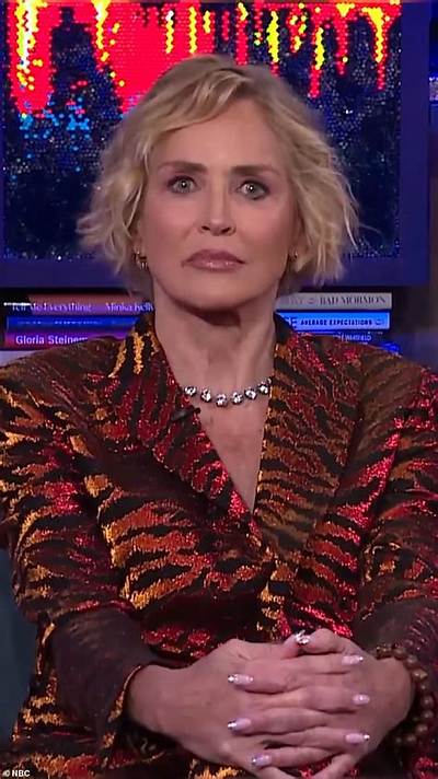 Sharon Stone Once Revealed She Was Told Arnold Schwarzenegger Didn't Like Her in 'Total Recall'