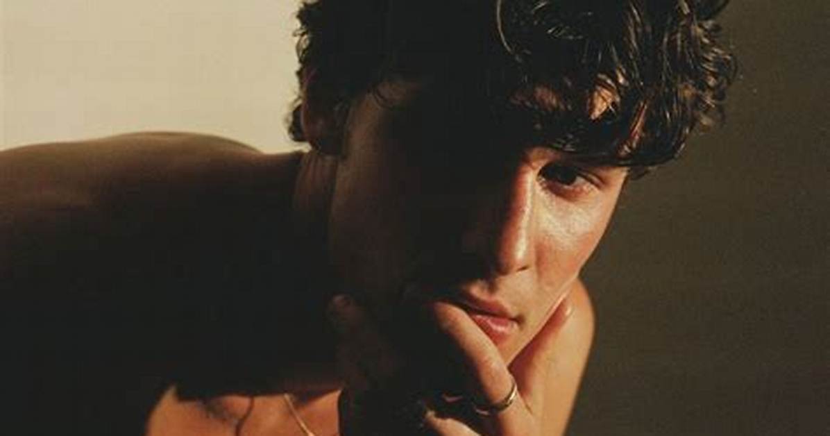 Shawn Mendes Released Music Video for Latest Song “It’ll Be Okay” After Rumored Patch-up with Camila Cabello