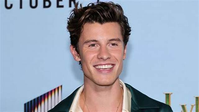 Shawn Mendes: ‘What the Hell Are We Dying for? ’ Lyrics & Stream Released – Listen Now! | First Listen, Lyrics, Music, Shawn Mendes | Just Jared: Celebrity News and Gossip
