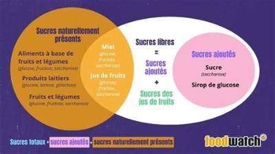 Sucre Dans Les Fruits Bon Ou Mauvais?