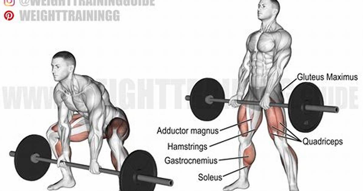 Sumo Deadlift: an Expert Shows You How