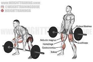 Sumo Deadlift: an Expert Shows You How