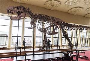 T. Rex Fossil Sells for More Than $5M at Zurich Auction