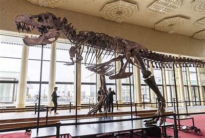 T. Rex Fossil Sells for More Than $5M at Zurich Auction