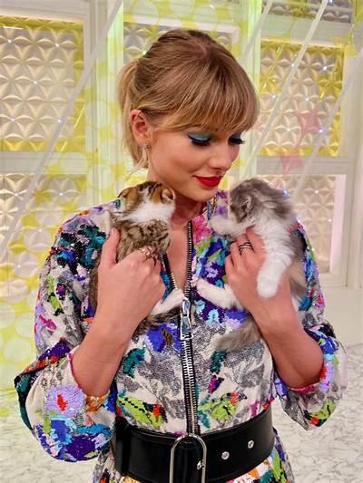 Taylor Swift 'Was a Social Butterfly' at the 2024 Grammy Awards