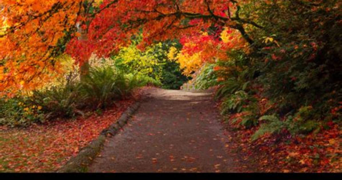 The Fall Equinox Is Start of a New Season and a Chance for New Beginnings
