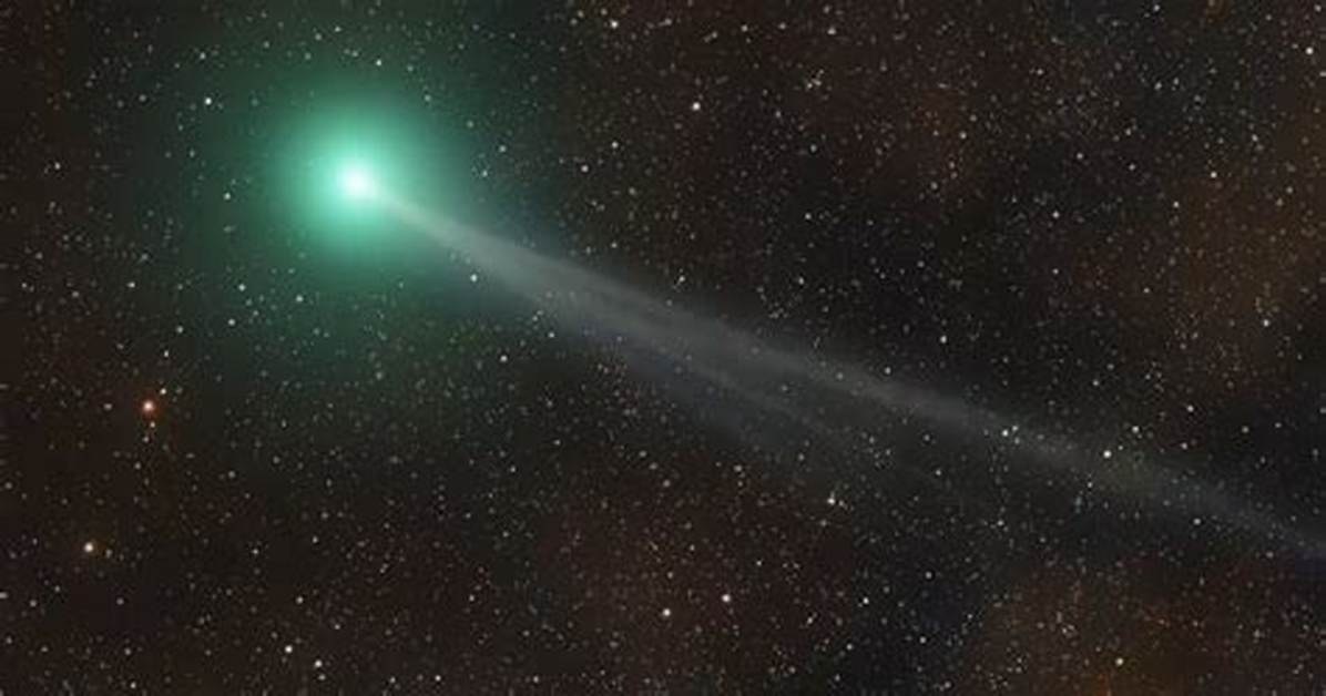 The Mind Behind Comet Nishimura: Getting to Know Hideo Nishimura - Sarkariresult