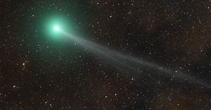 The Mind Behind Comet Nishimura: Getting to Know Hideo Nishimura - Sarkariresult