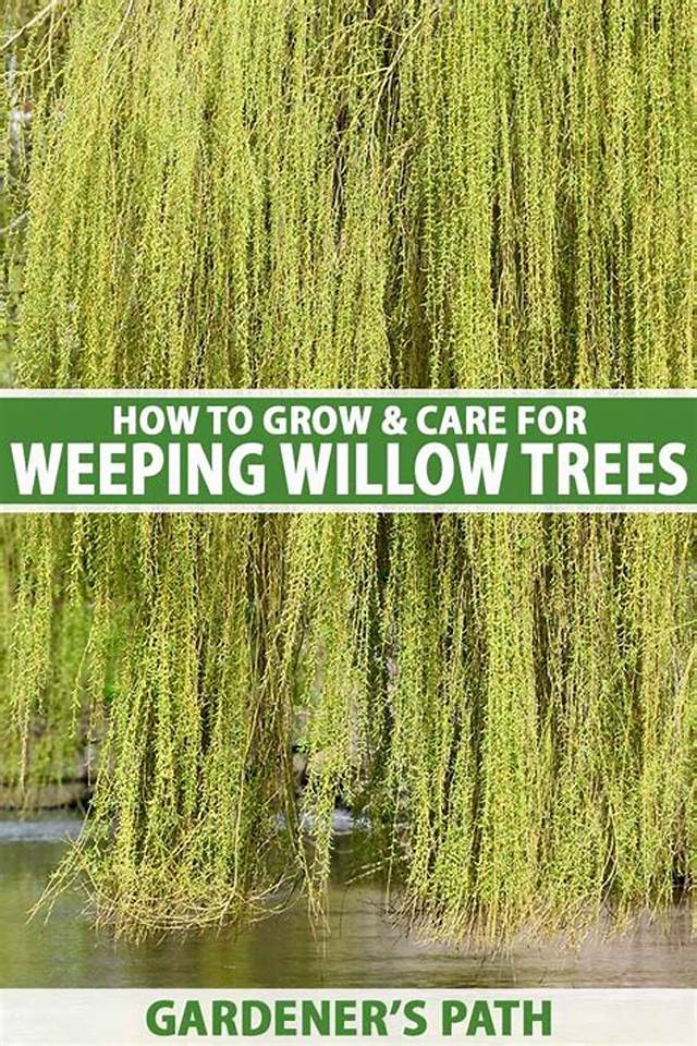 The Wisconsin Gardener | Weeping Trees | Season 10 | Episode 3